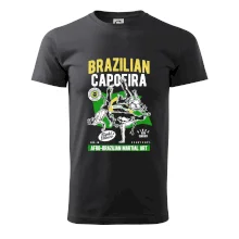 Brazilian Capoeira