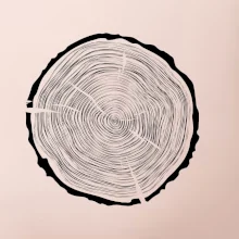 Letokruhy 60 bez veku