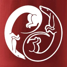 Jazvečíky - Jin jang