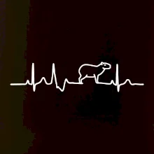 Ekg Capybara
