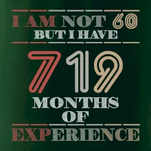 60 years 719 months of experience 60 years 719 months of experience
