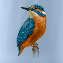 Ľadnáčik kreslený