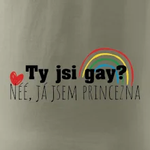 Gay princezna