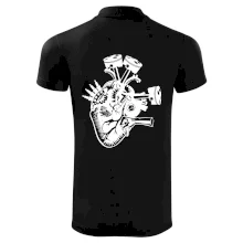 Vodičovo srdce Vodičovo srdce