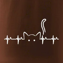 Mačka EKG