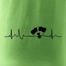 Jack Russell Teriér hrubosrstý Ekg