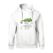 ChameleON_OFF (Hana-creative) ChameleON_OFF (Hana-creative)