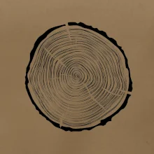 Letokruhy 40 bez veku