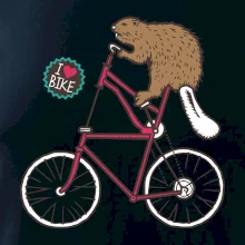 Bobor na bicykli