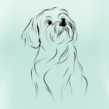 Lhasa Apso čierny nákres slabej linky