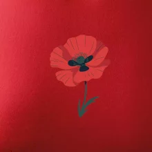 Vlčí mak kreslený veľký