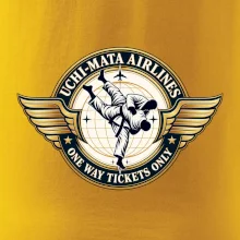 Uchi mata airlines one way tickets only