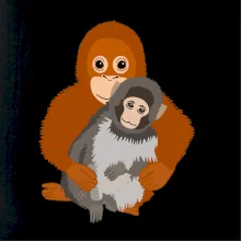 Opica Punch makak (Moňas)