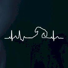 Jazvečík EKG Jazvečík EKG