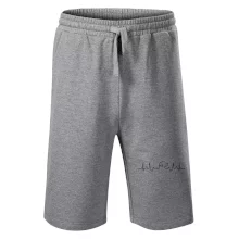 Labradorský retriever EKG Labradorský retriever EKG