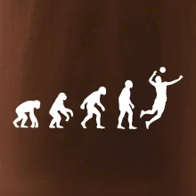 Evolúcia volejbal smeč