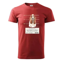 Baset - lump a darebák  