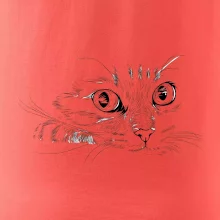 Mačka tvár kresba Mačka tvár kresba