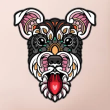 Knírač hlava barevná