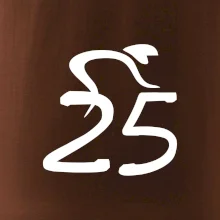Cyklista oslavuje dvadsaťpäťku (25)