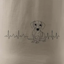 EKG krivka jazvečík