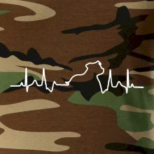 Stafordšírsky bulteriér ‎ EKG