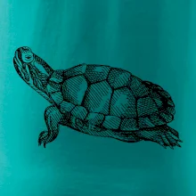 Ceruzkou kreslená korytnačka