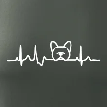 EKG Francúzsky buldoček hlava