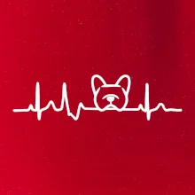 EKG Francúzsky buldoček hlava