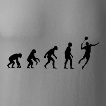 Evolúcia Bedminton