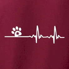 Veterinár EKG