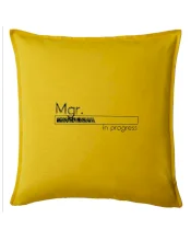 In progress titul Mgr. magister / magistra