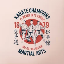 Karate Champions