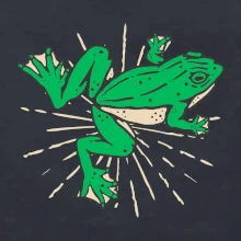 Žaba zelená kreslená