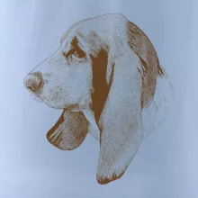 Basset - kreslená hlava