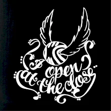 Harry - Zlatá strela