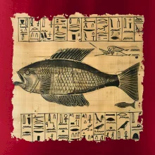 Egyptské hieroglyfy ryba