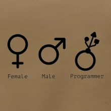 Female male programmer