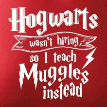 Harry - Hogwarts wasn’t hiring, so I teach Muggles instead