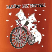 Mačky na bicykli