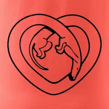 Jazvečík srdca - obrys