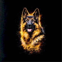 Obrázok poltón Nemecký ovčiak