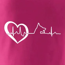 Nemecký ovčiak ekg