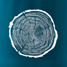 Letokruhy 70 bez veku