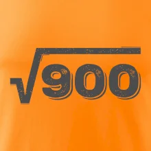 Narodeniny odmocniny 30 Narodeniny odmocniny 30