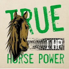 True Horse Power 1 HP