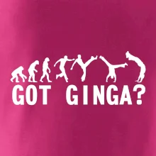 Capoeira - Got Ginga