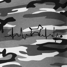 Ekg psí obrys Ekg psí obrys