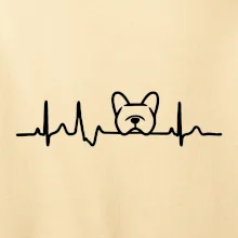 EKG Francúzsky buldoček hlava