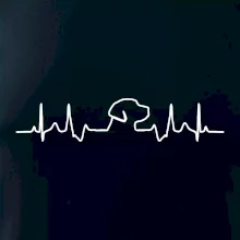 Labradorský retriever EKG Labradorský retriever EKG